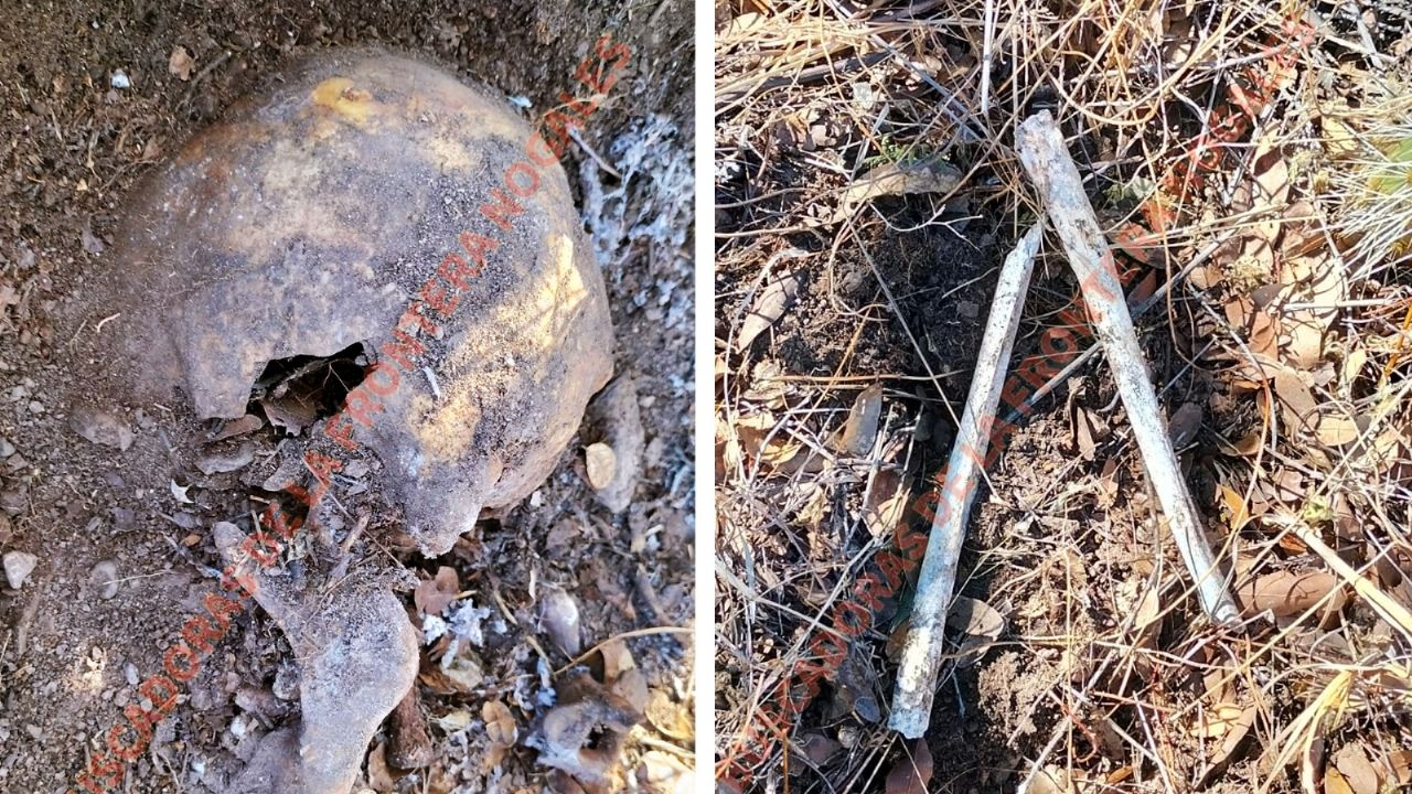 Encuentran dos cuerpos esqueléticos en predio de Nogales; serían dos hombres desaparecidos