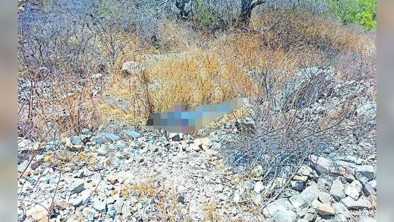 Sobre un predio despoblado, abandonan el cadáver de un hombre; estaba maniatado