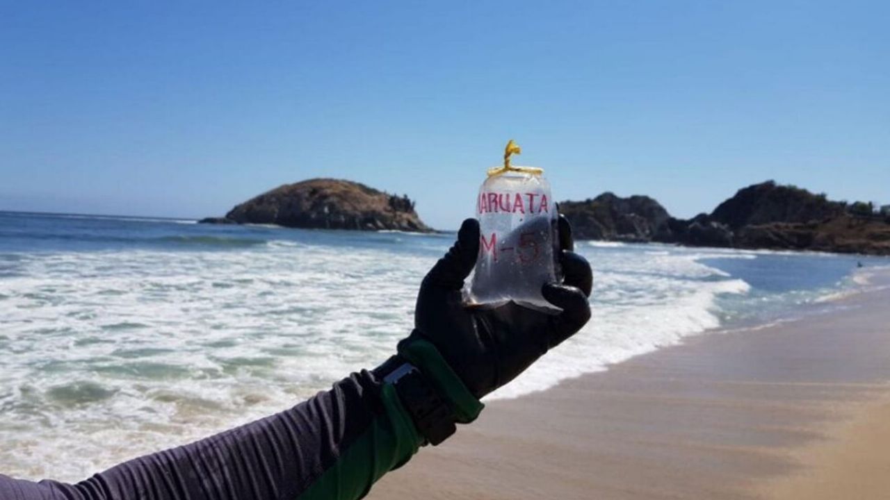 ¡Atención! Estas son las playas más sucias de México para esta Semana Santa, según Cofepris