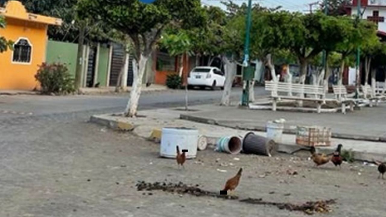 Sin piedad alguna, sicarios terminan con la existencia de un indigente en Colima