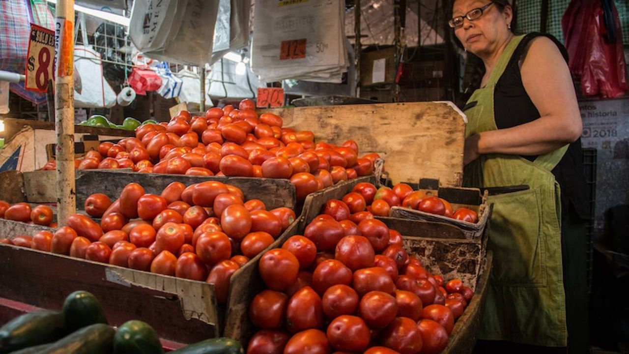 Haz cuentas: Profeco señala que el limón y el jitomate tienen precios muy altos