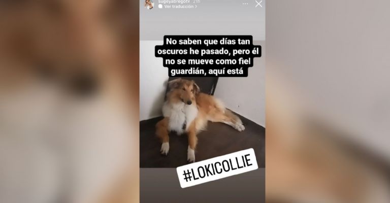 La mascota de Sugey Ábrego