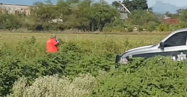 Localizan cadáveres desmembrados