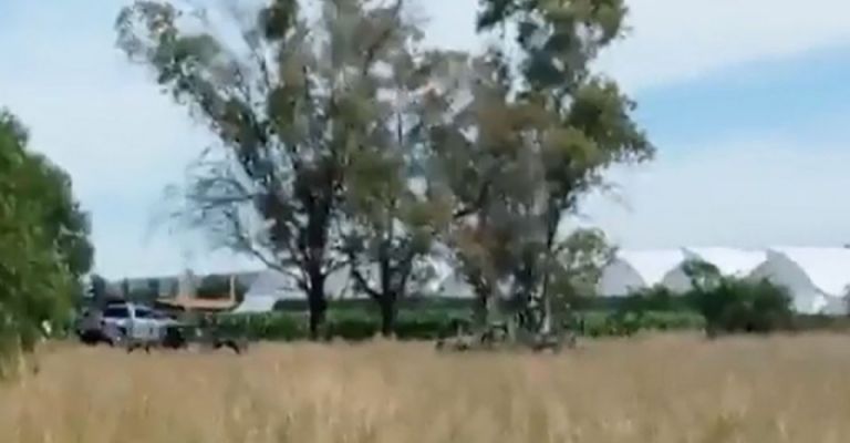 Encuentran dos cuerpos