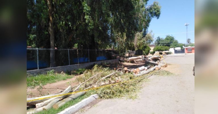 Inseguridad y lluvias afectan a primaria 'Cámara Junior' en Ciudad Obregón