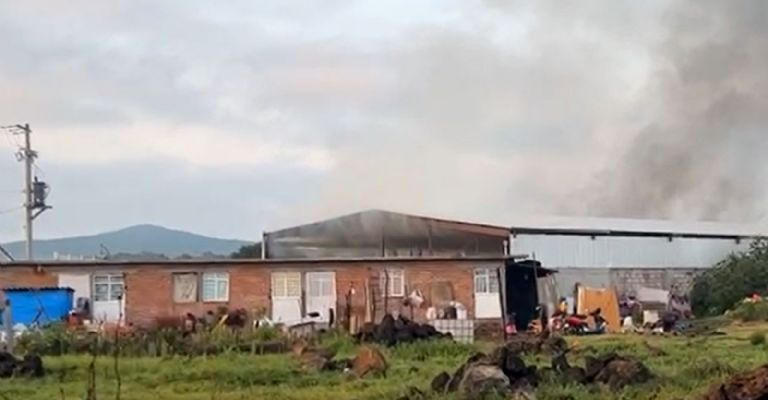Le quitan la vida a velador de una recicladora en Salvatierra