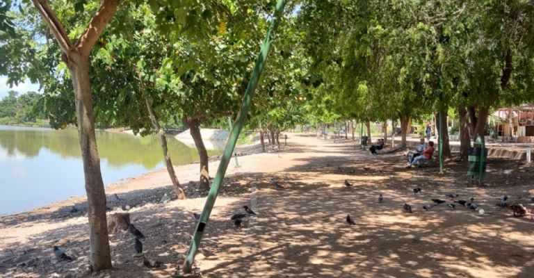 Cableado expuesto en postes de luz de laguna del Náinari ponen riesgo la vida de visitantes