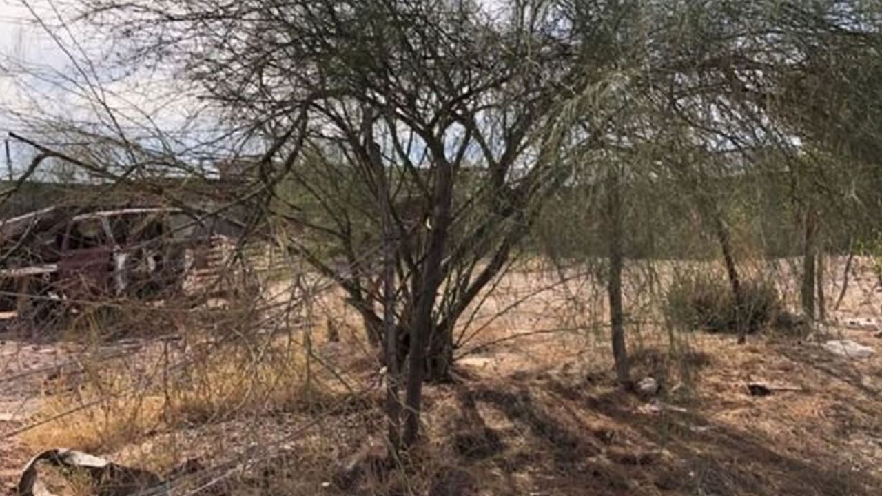 Primeras notificaciones para multar a dueños de baldíos sucios en Cajeme han sido entregadas