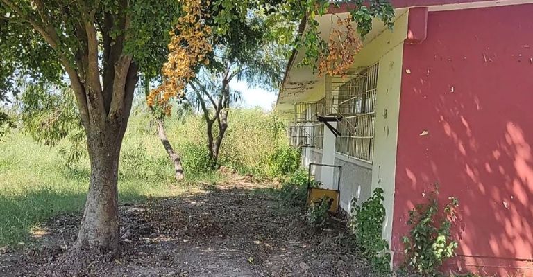 Temen en la primaria Juan Maldonado G. de Obregón por casos de dengue ante maleza