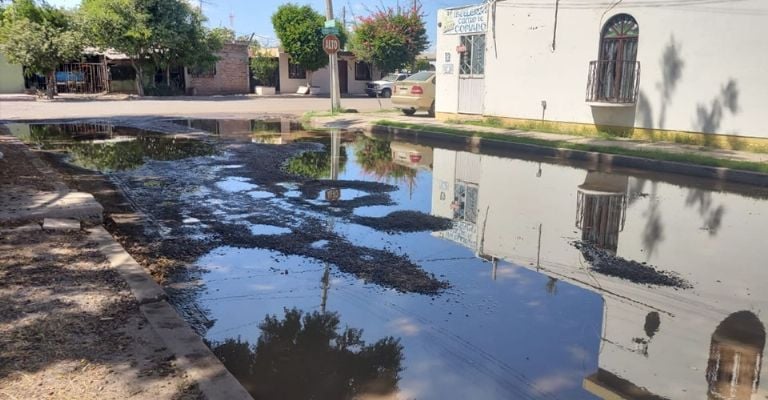 Vecinos de la Miravalle temen por posible caso de dengue a causa de drenaje colapsado