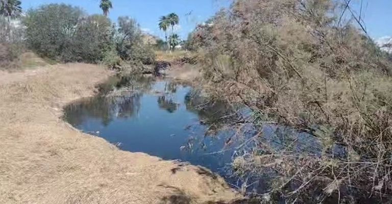En plena temporada alta de bodas, San Carlos recibe a los turistas con las 'aguas negras' abiertas