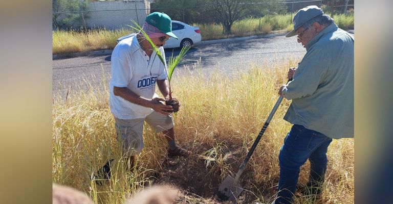 Donan Club Leones mil 400 palmas a planteles educativos