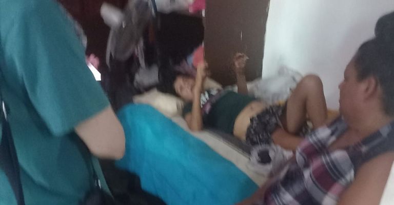 Paloma sobrevive a la rickettsiosis después de estar en coma