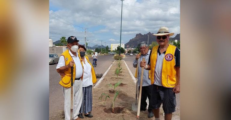 Club de Leones siembran 50 árboles durante el mes de octubre en el Puerto