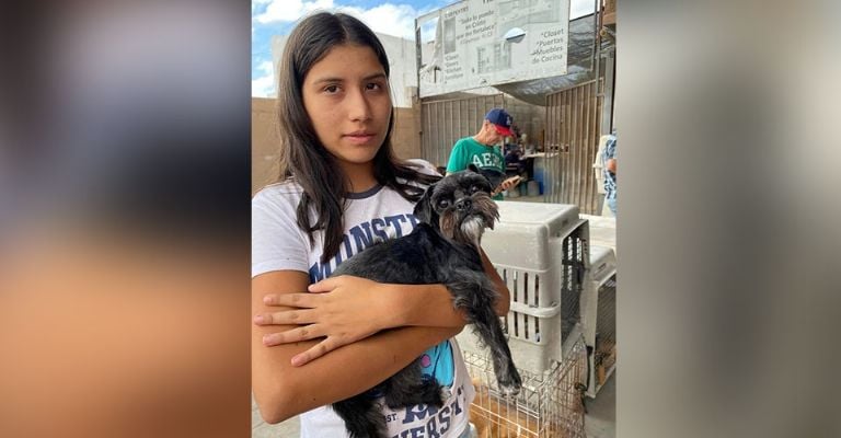 Sociedad protectora de animales ha realizado más 8 mil esterilizaciones de perros