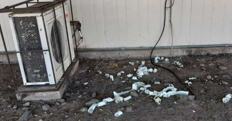 Primaria 'Distribuidores Nissan 54-1' en Obregón denuncia falta de apoyo de la SEC