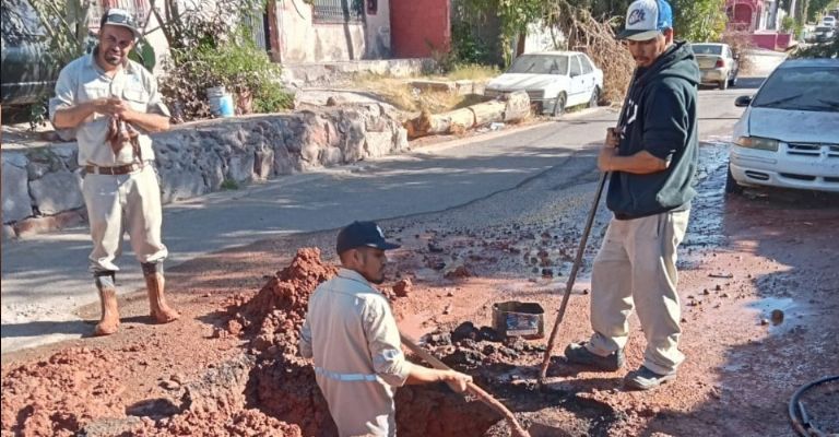 Trabajadores se quedan, ‘peces gordos’ se van de CEA Guaymas