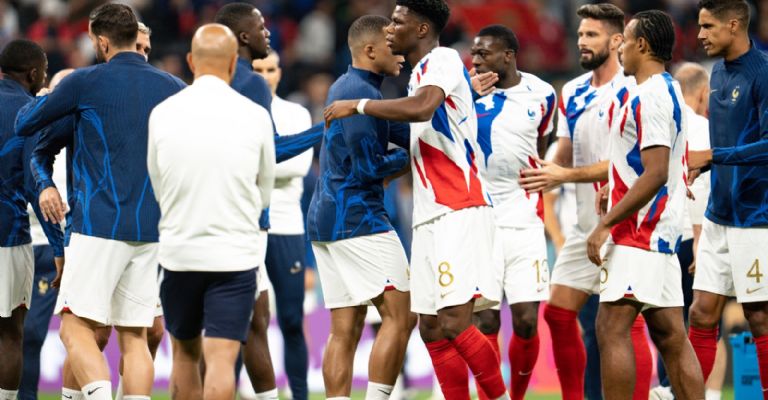 Francia virus del camello