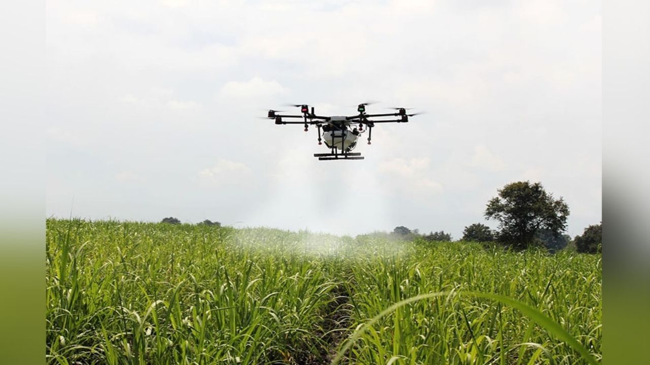 Avanza entrega de fertilizantes en Sonora