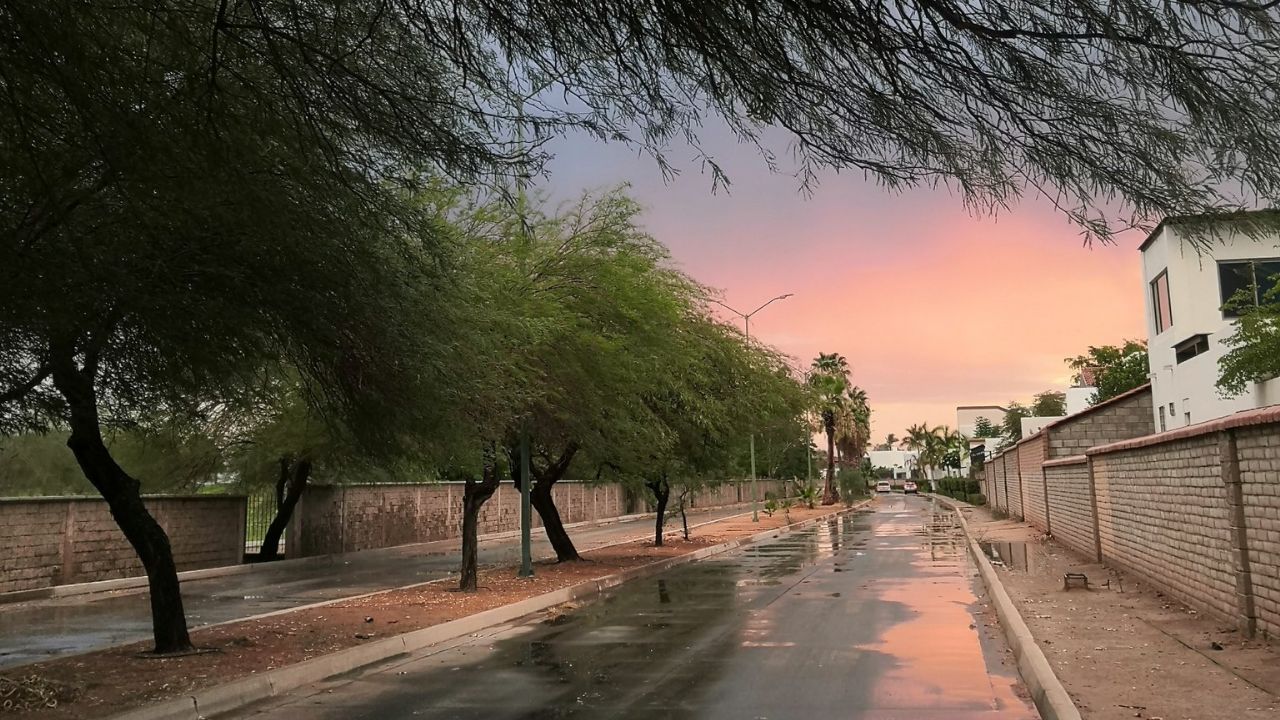 Frente Frío: Tormenta Invernal traerá chubascos y caída de nieve a Sonora hoy lunes 13 de febrero