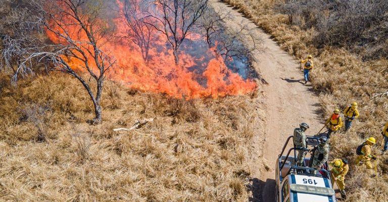 Incendio forestal en Guaymas y Suaqui Grande lleva 2 mil hectáreas afectadas