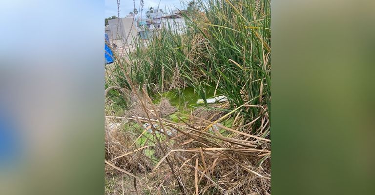 Viviendas afectadas por derrame de drenaje en Villa Serena