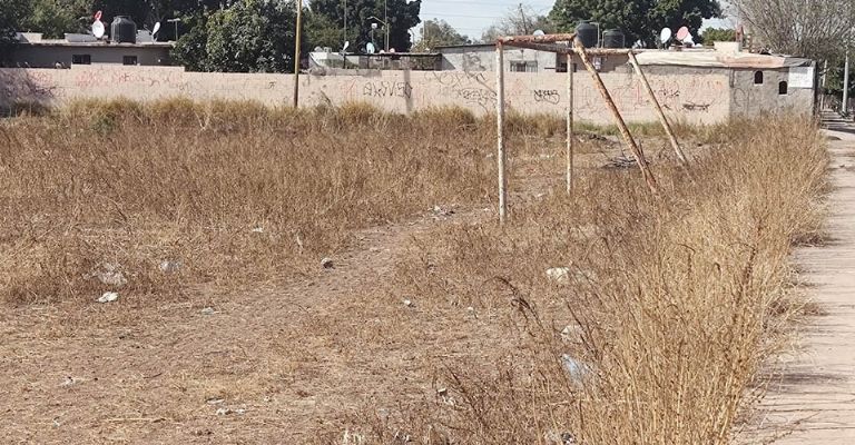 Ayuntamiento de Cajeme olvida atender los parques