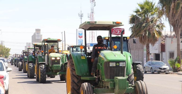 Productores del sur de Sonora otorgan tregua, pero muestran músculo