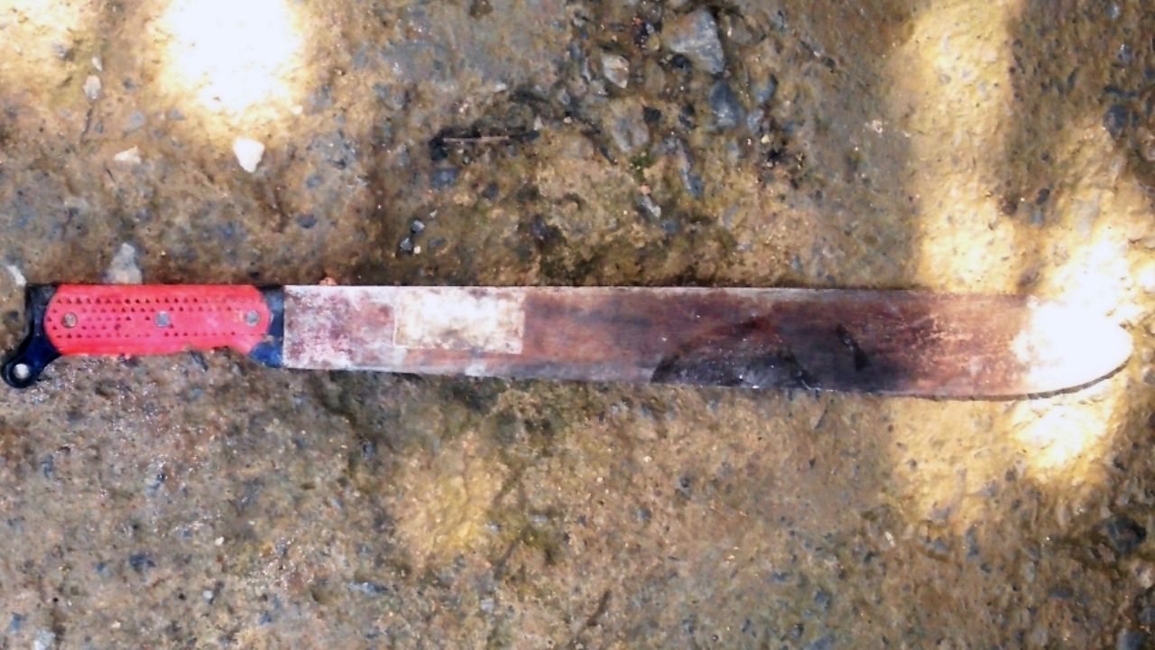 Miguel mató a machetazos a su tío porque no le prestó dinero; estará preso 22 años en Sinaloa