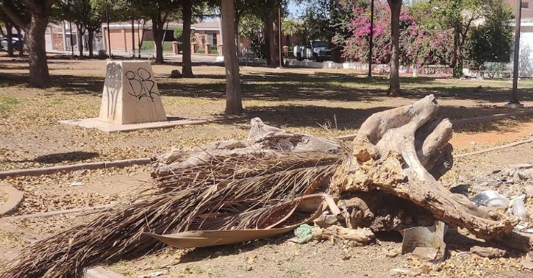 Áreas verdes en el olvido de las autoridades municipales en Ciudad Obregón