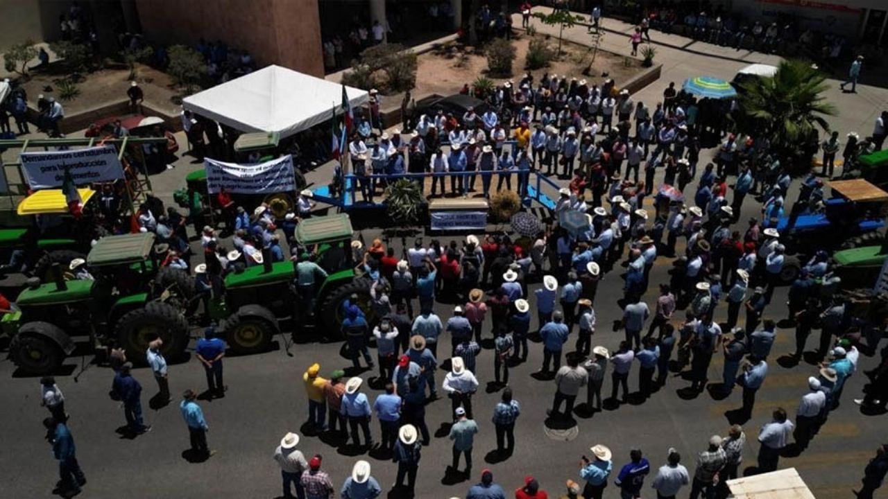 Cámaras hacen fuerza con los productores