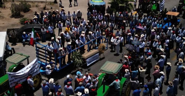 Cajeme se suma a la lucha por el precio de trigo y maíz