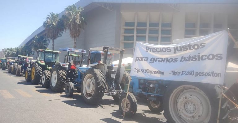 Productores sonorenses reaccionan