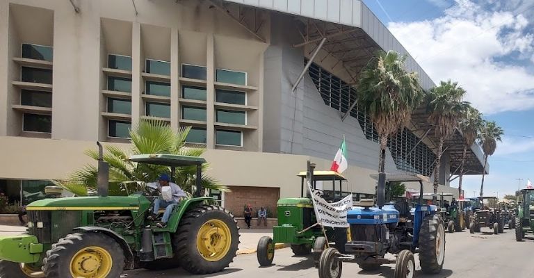 Lucha por el precio del trigo cristalino continua en pie en el sur de Sonora