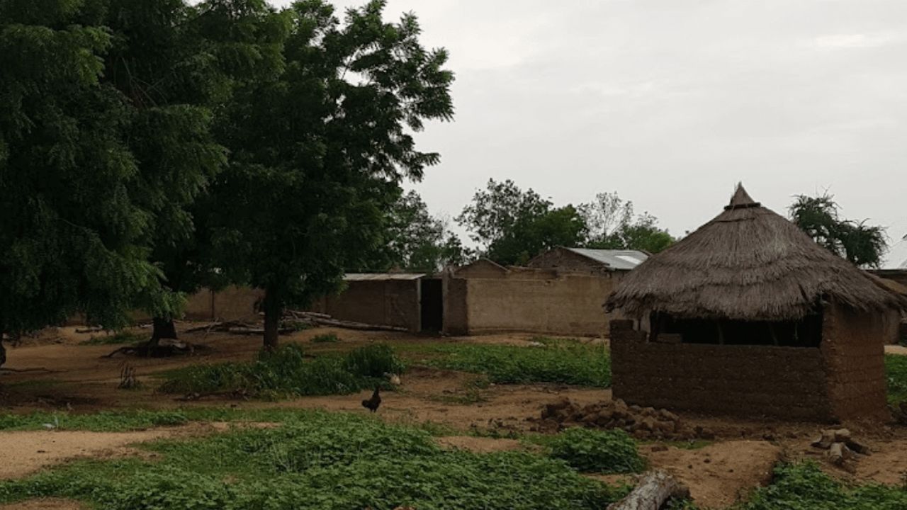 Tras días secuestradas, liberan a más de 30 mujeres en Camerún: Tenían heridas y marcas de tortura