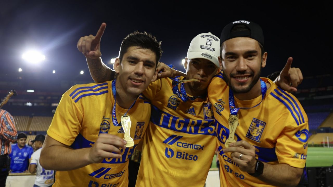Tigres 