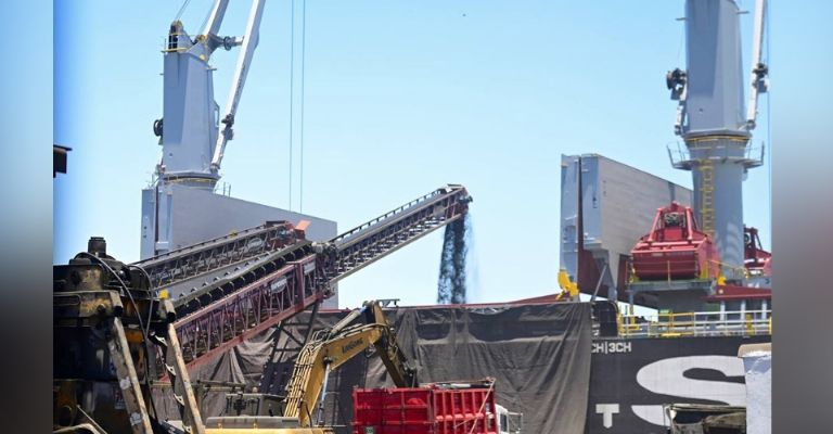 Está es él área de contenedores donde se busca construir la cámara frigorífica para la manipulación de cargas que necesiten ciertas temperaturas