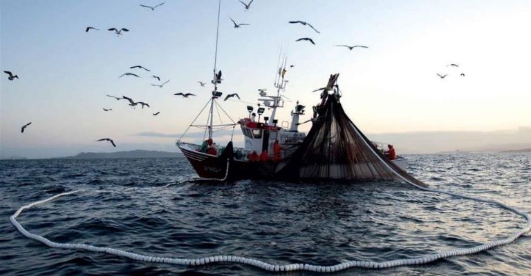 Sardineros de Guaymas obtienen certificación internacional