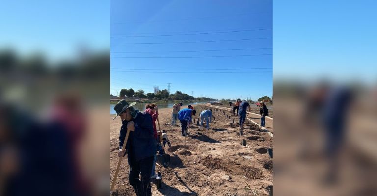 Fenómeno 'cúpula de calor urbano' afecta calidad de vida en Ciudad Obregón