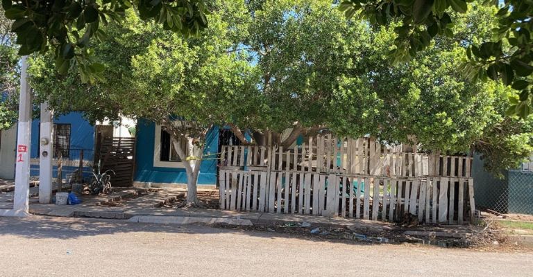 Rastreadoras retoman acciones de búsqueda