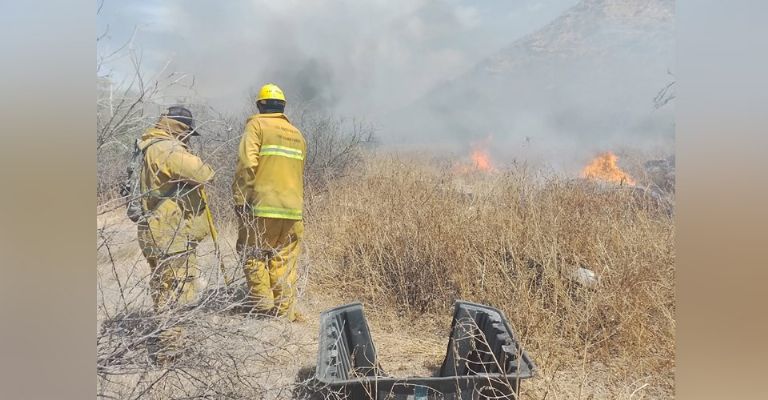 Incendios forestales en Guaymas aumentan en un 60%