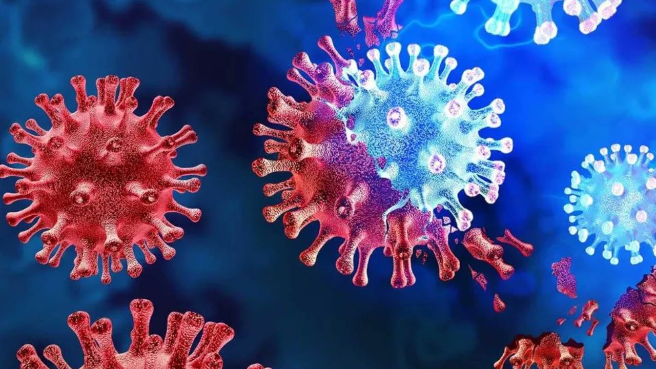 ¿Qué es la enfermedad X?