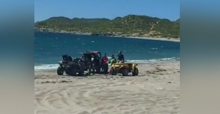 Fauna marina y silvestre en riesgo en playas de Guaymas por vehículos todoterreno y maquinaria