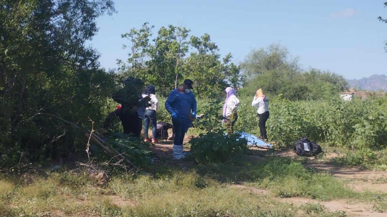 Localizan otra fosa clandestina en el ejido San José de Guaymas