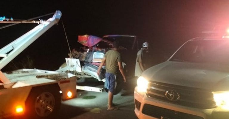 Conductor se estrella contra un caballo en media carretera