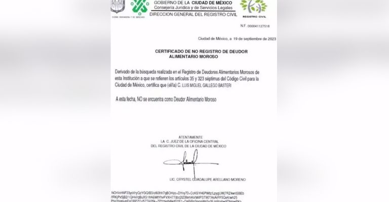 Documento probaría que Luis Miguel no debería a Aracely Arámbula