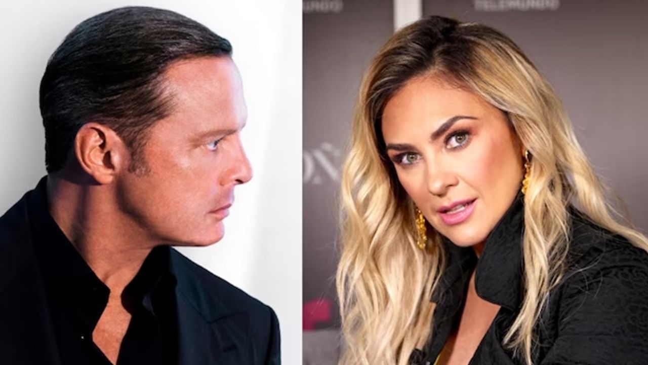 Aracely Arámbula acusa a Luis Miguel de ser un deudor alimentario