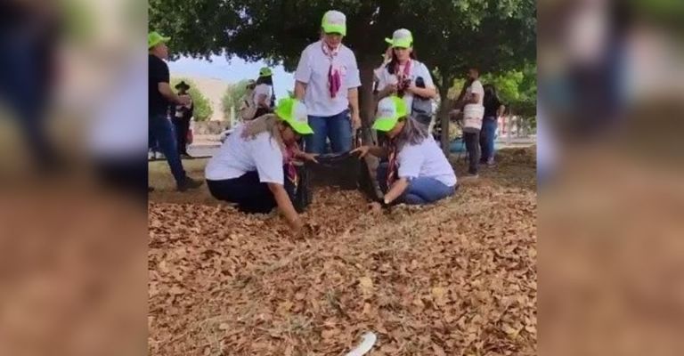 La agrupación trabaja campañas como ‘adopta un camellón’