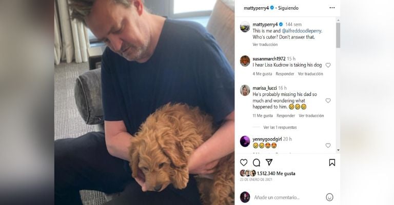 Matthew Perry dejó un perrito que adoptaría Lisa Kudrow