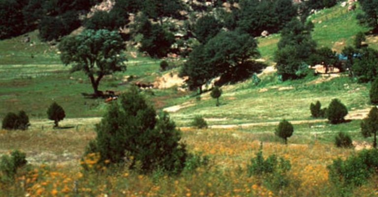 Descubre los lugares mágicos en Sonora para visitar en invierno